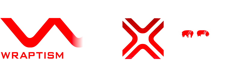Wraptism Armour-X PPF Protection Film Installation on Gold Coast - Main Logo